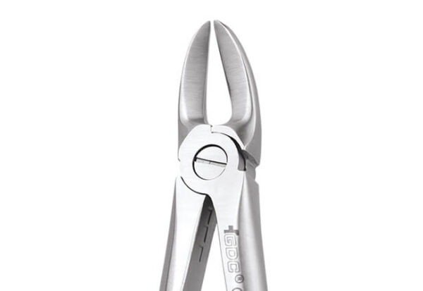 GDC Extraction Forcep Separating Upper Molars Standard (FX55S)